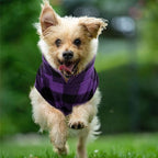 Kama Bridal Dog Spring Autumn Winter Coat Pullover Fleece Vest for Cats & Dogs - Thin Sweater, Purple & Black Plaid (Purple, S)