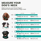 BronzeDog Rolled Leather Dog Collar with QR ID Tag, Adjustable Soft Round Collars for Small Medium Large Dogs Puppy (7" - 10" Neck Size, Turquoise)
