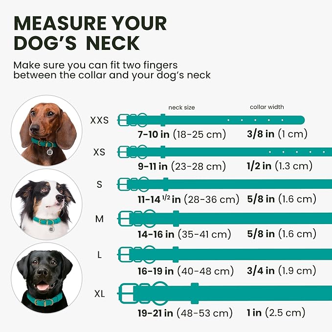 BronzeDog Rolled Leather Dog Collar with QR ID Tag, Adjustable Soft Round Collars for Small Medium Large Dogs Puppy (16" - 19" Neck Size, Turquoise)
