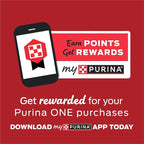 Purina ONE Plus Large Breed Puppy Food Dry Formula - 16.5 lb. Bag