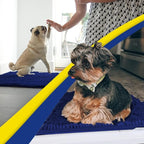 Muddy Mat® Original Dog Door Mat for Muddy Paws, Super Absorbent Microfiber, Non-Slip Washable Pet Rug, Quick Dry Chenille Entryway Carpet, Machine Washable Indoor Outdoor mat, Navy Blue 24"x72"