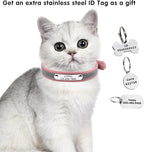 Personalized Reflective Cat Collars with Name Tag and Plated,Engraved Custom Cat Collar with Name and Phone,Kitten Collar with Safety Buckle Adjustable for Cats and Kitten(Blue)
