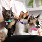 4PCS Breakaway Cat Collars,Reflective Cat Collar with Bells,Kitten Collars for Boy&Girl Cats Breakaway Collar for Cats with Paw Pendant 7.5-12.6 Inch(Purple+Hotpink+Red+Teal)