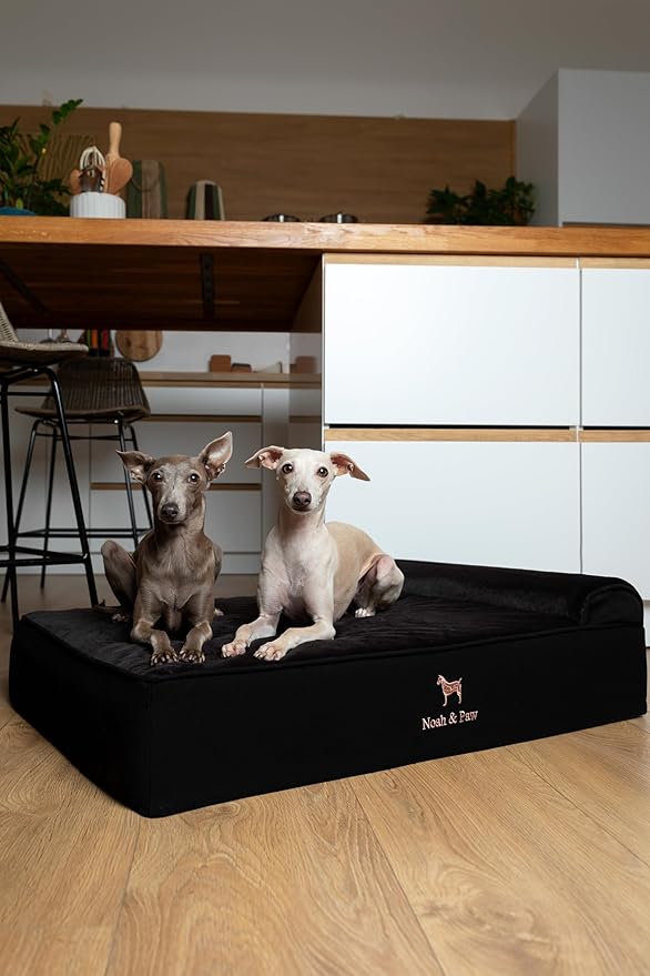 NOAH & PAW Large Dog Bed, 35x25x8.7 Inch, Orthopedic Dog Beds, Eggshell Memory Foam Infused with Cooling Gel, Waterproof, Machine Washable, Includes Inner Cover (Denim Collection)