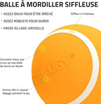 Playology Dog Toys | Squeaky Chew Ball - Bouncy Durable Floating Fetch Ball for Dogs | Medium Cheddar Cheese Scented Toy - Easy to Clean and Made from Non Toxic Materials