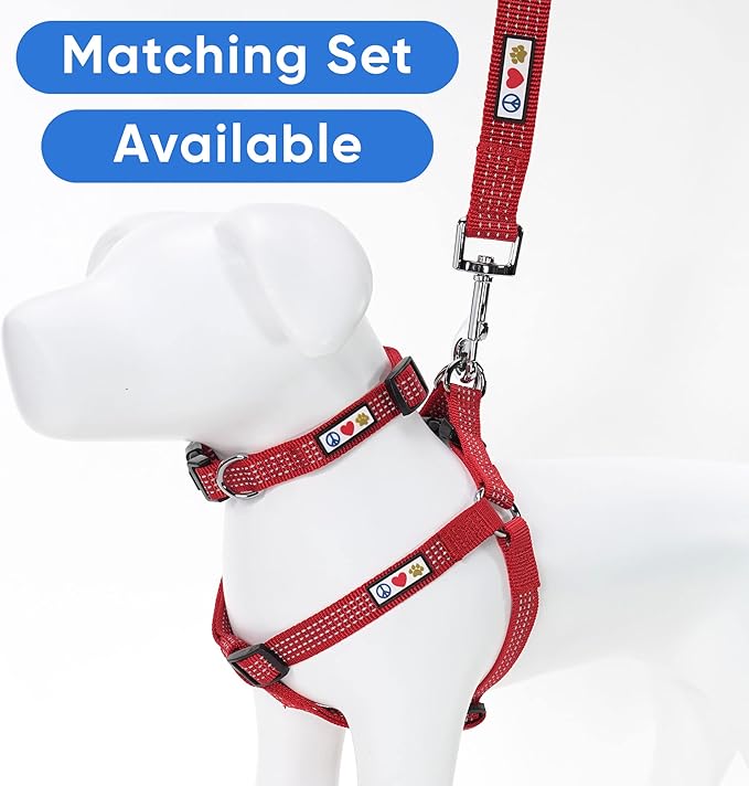 Pawtitas 6 FT Pet Puppy Leash Reflective Dog Leash Comfortable Handle Highly Reflective Threads Heavy Duty Dog Training Leash Available as a 6 ft Small Dog Red Leash