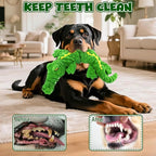 Dog Toys,Stuffed Squeaky Toys Animal Crinkle Plush Toy for Small, Middle, Large Dogs, Chew Interactive Dog Toys to Keep Them Busy,Big Pet Toys for Tug of War Game,Crocodile