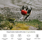 MDRNpup® Unique Dog Treats, Human Grade and All-Natural, Only Five Ingredients, High Protein - Amino Acids, Nothing Artificial, Soft Baked in The USA (13.2 Ounce, Veggie Protein Blend)