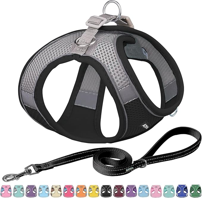 AIITLE Easy Walk Dog Harness and Leash Set - Pet Supply No Pull, Step in Adjustable Pet Harnesses with Padded Vest for Summer, No Choke Over, Easy to Put on Medium Dogs Black L