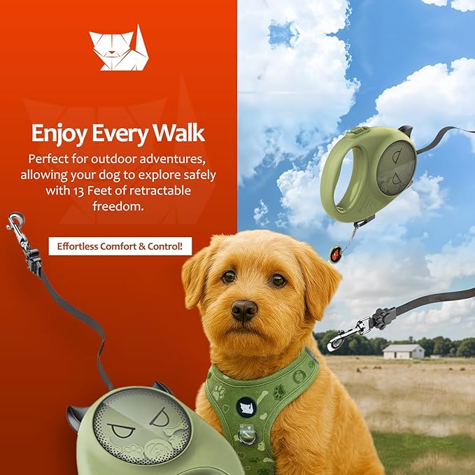 Retractable Dog Leash – 13ft Strong Nylon Tape, Auto-Locking, Tangle-Free, One-Touch Brake, Comfortable Grip – Fun Halloween Design for Small Dogs up to 20 lbs, Haminway Cheeky Imp Design