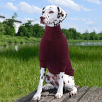 ROZKITCH Dog Shirt with Hoodie Dog Ears Cover 2 in 1, Soft Lightweight Dog Striped T Shirt Pullover Dog Tank with Detachable Ear Wrap, Dog Hoodie Tshirt Dog Boy Girl, Stretchy Sweater WineRed XL