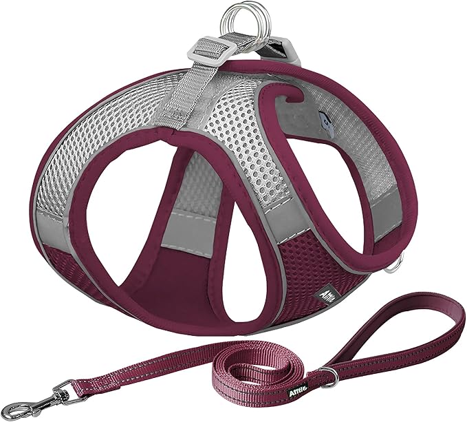 AIITLE Step in Dog Harness and Leash Set - Summer No Pull Escape Proof Vest Harnesses with Soft Mesh and Reflective Bands, Adjustable Pet Outdoor Harnesses for Small and Medium Dogs Burgundy M