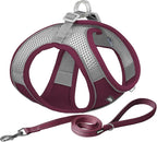 AIITLE Small Harness for Puppy with A Leash - Summer Dog Vest Harness with Super Breathable Mesh, Reflective No-Pull Pet Harness for Outdoor Walking, Camping for Small Dogs, Cats Burgundy XXS