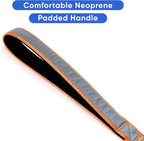 Pawtitas 6 FT Padded Dog Leash with Comfortable Neoprene Padding Handle - Orange Lead | Medium Reflective Dog Leash with Highly Reflective Band Perfect for Medium and Large Dogs and Puppies.