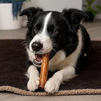 Pet Factory 100% Made in USA Beefhide 8" Rolls Dog Chew Treats - Beef & Chicken Flavor, 10 Count/1 Pack