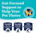 Solid Gold Lamb Dog Food Dry for Adult & Senior Dogs– High Protein Healthy Dog Kibble for Medium & Large Breeds – Whole Grain, Omega 3 & Digestive Probiotics for Gut Health & Everyday Nutrition – 4 LB