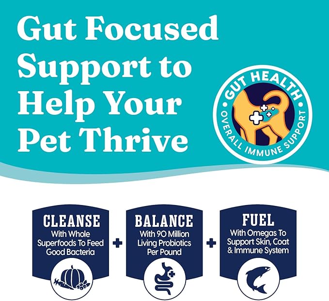 Solid Gold Lamb Dog Food Dry for Adult & Senior Dogs– High Protein Healthy Dog Kibble for Medium & Large Breeds – Whole Grain, Omega 3 & Digestive Probiotics for Gut Health & Everyday Nutrition – 4 LB