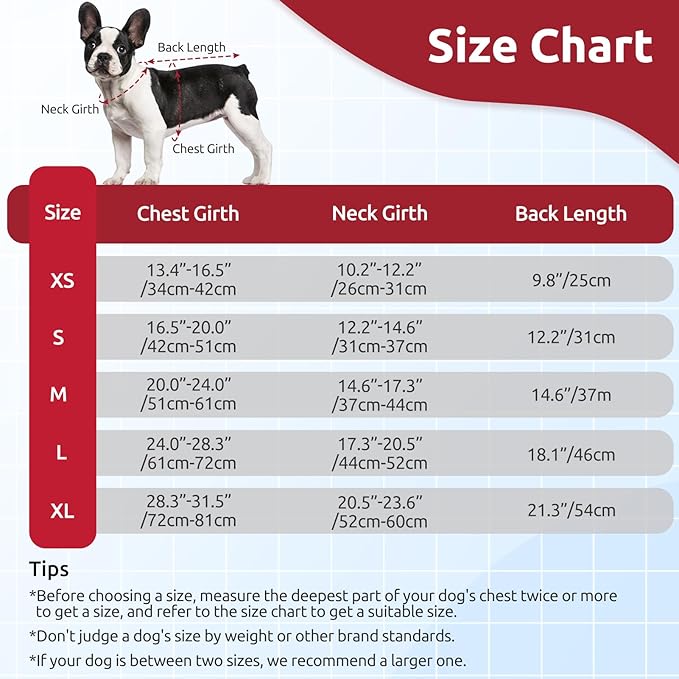 ASENKU Warm Dog Winter Coat, Waterproof Dog Coat for Cold Weather, Fleece Dogs Jacket with Ultra Thick Plush Lining Leash Hole Storage Pockets for Small Dogs (Red, Small)