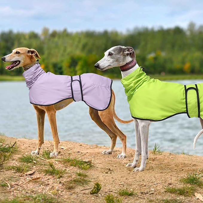 Dog Raincoat with Reflective Bar, Rain/Water Resistant, Adjustable Vest - Dog Raincoats for Greyhounds, Lurchers and Whippets - Light Green - XXXL
