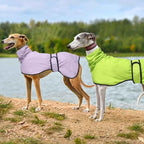 Dog Raincoat with Reflective Bar, Rain/Water Resistant, Adjustable Vest - Dog Raincoats for Greyhounds, Lurchers and Whippets - Purple - S