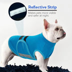 MIGOHI Dog Anxiety Relief Coat,Comfort Anxiety Vest for Dogs,Adjustable Dog Anxiety Calming Wrap for Fireworks,Thunderstorm,Travel,Separation,Anxiety Jacket for Small Dogs,XS,Blue