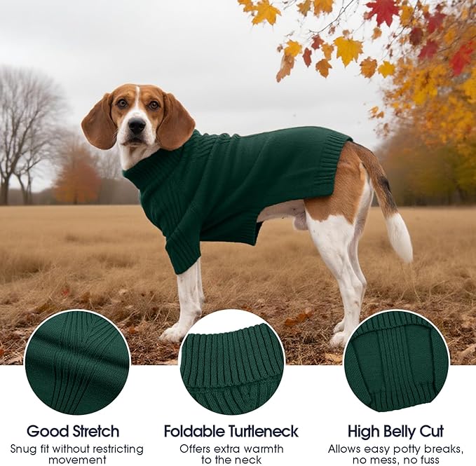 IECOii Dachshund Sweater,Turtleneck Dog Sweater for Small Medium Dogs Girl Boy,Stretchy & Breathable,Warm Knitted Pullover Coat,High Neck Knitwear for Cold Weather Indoor & Outdoor Wear (Green,M)