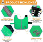 Queenmore Dog Winter Coat, Cold Weather Fleece Jacket for Dogs, Waterproof Reflective Reversible, for Small, Medium and Large Dogs (Green, XS)