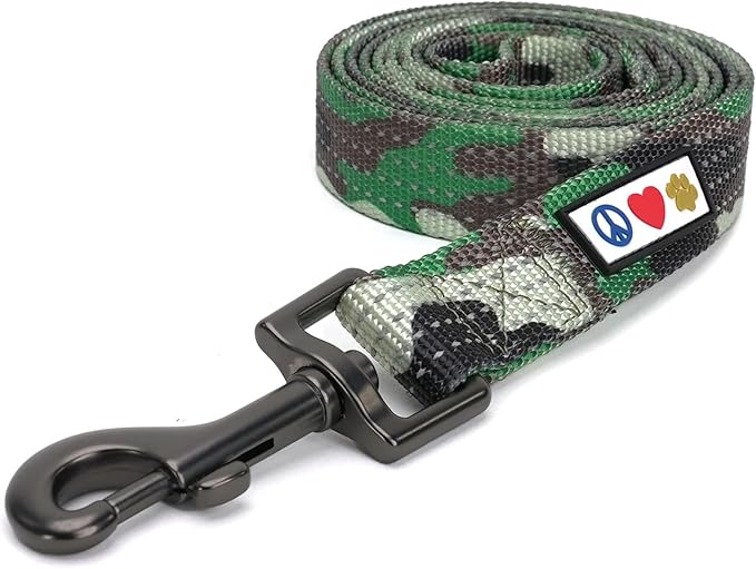 Pawtitas 6 FT Puppy Dog Leash - Comfortable Handle, Highly Reflective, Heavy Duty Training Leash - Available in Small, Camo Green