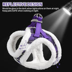 GAMUDA Small Dog Harness Collar and Leash Set, Step in No Chock No Pull Soft Mesh Adjustable Dog Vest Harnesses Plaid Reflective for Dogs Puppy Cats Kitten Rabbit (Warm Purple, XL)