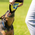 ZooBee Flying Disc Dog Toy – Dog Vision Friendly Colors – Soft & Durable Frisbee for Outdoor Play, Water Fetch & Pool Fun – Safe on Teeth – Floating Dog Toy – Lightweight & Easy to Throw