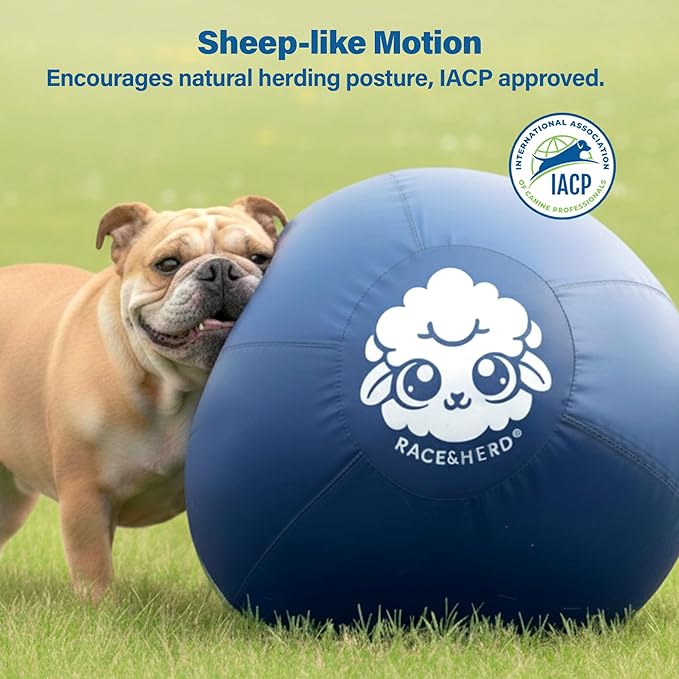 Race&Herd 25" Original XXL Herding Ball for Dogs - Giant Herding Dog Ball Australian Shepherds, Herding Toys, Dog Training Toy for Large Breeds, Dog Toy for Outdoor Play (for Medium Dogs, Yellow)