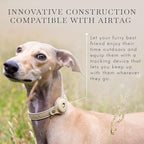 Cupertino Dog Collars, Harnesses & Leashes Made from Vegan Leather with Dog Tracker Device Holder Adjustable Dog Collar (Medium, Beige)