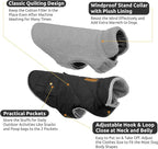 Queenmore Dog Winter Coat Warm Puffer Jacket Waterproof Plush Lining Thermal Cold Weather Vest for Small Medium Large Dogs, Windproof Easy On Pet Jacket Black XL