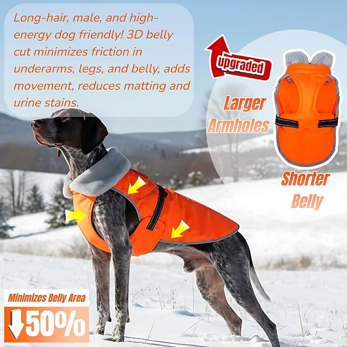 Insulated Outdoor Dog Winter Jacket, Hard Shell Pet Coat with 2 Layer Warmth, Waterproof & Lightweight Coats for Medium Dogs with Leash Portal, Durable 3D Belly Cut Jackets for Dachshund (Orange, M)