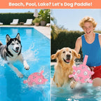 Dog Soccer Ball with Straps – Dog Toy Soccer Ball with Grab Tabs, Durable Dog Toys, Water Pool Toys for Small & Medium Dogs, Indoor/Outdoor – Ideal Dog Birthday Gift, 6 Inch