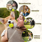 Nobleza 12 Pack 2.5' Floatable Squeaky Tennis Balls for Small Medium Dogs, Training Safe Natural Rubber Squeaky Dog Balls for Fetch Exercise, Yellow