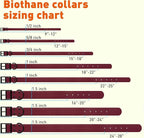 Dogline Biothane Waterproof Dog Collar Strong Coated Nylon Webbing with Black Hardware Odor- Proof for Easy Care Easy to Clean High Performance Fits Small Medium or Large Dogs, Merlot Burgundy
