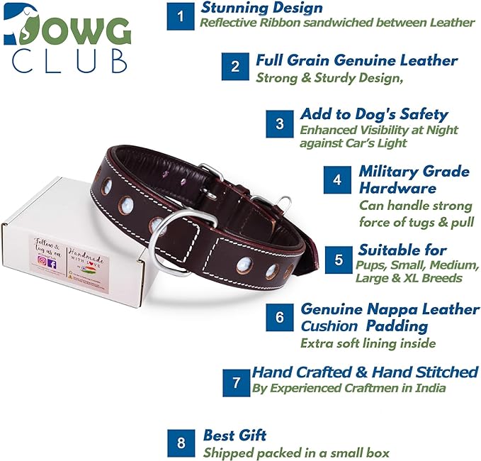 Genuine Leather Reflective Dog Collar | Stellar Series | Safe for Night Walking | Soft, Cushion Padding, Handmade | Best for Small, Medium, Large, (Medium (Fit Neck Size 14.5"-18.5"), Garnet)