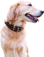 Studded Leather Dog Collar – Durable Adjustable Collar, Brown Medium