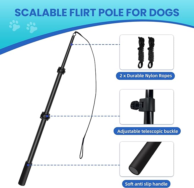 Flirt Pole for Dogs: Durable Dog Rope Toy for Small Medium Large Dogs - Interactive Dog Toys Chase and Tug of War - Lure Chewing Toy for Outdoor Exercise Training