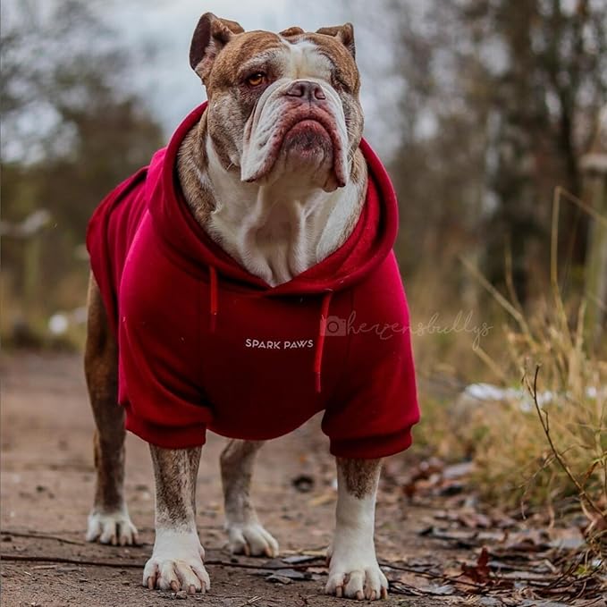 Spark Paws Dog Hoodie – Premium Dog Sweater for Small, Medium, and Large Dogs | Warm Outfits for French Bulldogs, Pitbull, Puppy, Winter Jacket Alternative - Burgundy - L