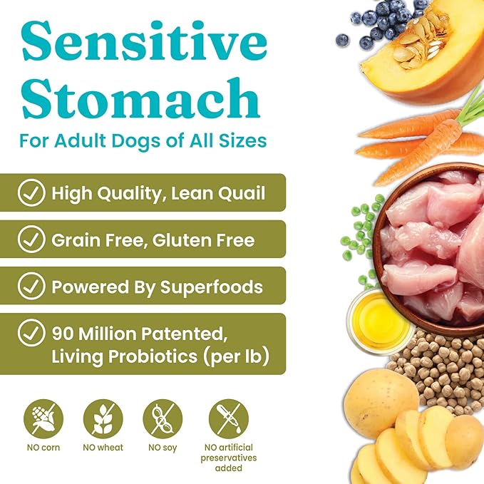 Solid Gold Sensitive Stomach Dog Food for Adult & Senior Dogs - Grain Free Healthy Dog Food w/Real Quail, Pumpkin, Fiber & Probiotics for Gut Health & Digestion - Kibble for Sensitive Stomachs - 24LB