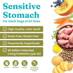 Solid Gold Sensitive Stomach Dog Food for Adult & Senior Dogs - Grain Free Healthy Dog Food w/Real Quail, Pumpkin, Fiber & Probiotics for Gut Health & Digestion - Kibble for Sensitive Stomachs - 24LB