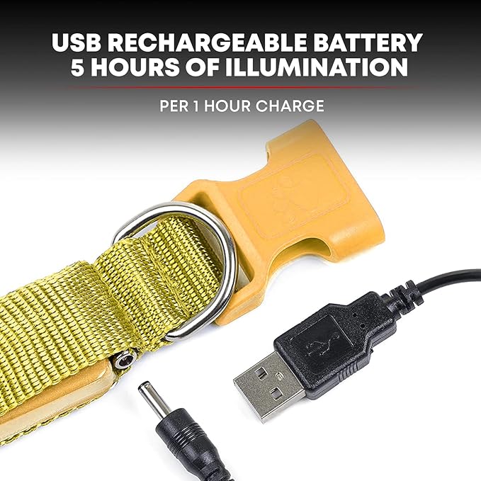 ILLUMISEEN LED Dog Collar USB Rechargeable | Bright & High Visibility Lighted Glow Collar for Pet Night Walking | Weatherproof, in 6 Colors & 6 Sizes (Yellow X-Large)