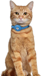 OOPSDOGGY Leather AirTag Cat Collar with Bell - Non Breakaway Kitten Collar with Apple Air Tag Holder - Lightweight GPS Pet Collars for Girl Boy Cats, Small Dogs, Puppies (Blue)