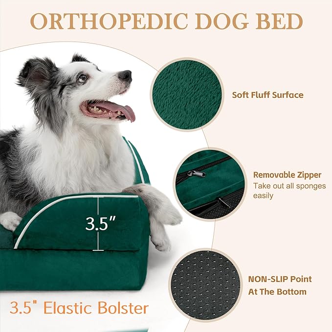 Comfort Expression Orthopedic Dog Bed for Small Dogs 24x16 Inch, Waterproof Supportive Egg Crate Foam Small Pet Bed with Removable Bolsters, Dog Couch with Washable Cover & Non-Slip Bottom, Emerald