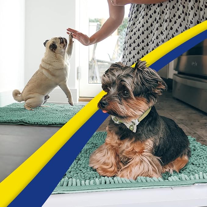 Muddy Mat® Shown on TV–Super Absorbent Microfiber Dog Door Mat for Muddy Paws, Non-Slip Washable Pet Rug, Quick Dry Chenille Entryway Carpet, Machine Washable Indoor Outdoor mat–Seafoam Green 30"x19"