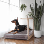 Laifug Orthopedic Memory Foam Pet(40"x 25"x 4",Slate Grey)/Dog Bed with Durable Waterproof Liner and Removable Washable Cover