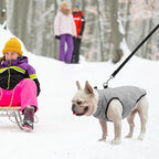 SCENEREAL Winter Dog Vest Coat with Harness Built in, Warm Dog Jacket for Small Medium Dogs, Puppy Cold Weather Coats with Zipper, Fleece Puffer Vest Windproof Snow Clothes for Puppy Pet