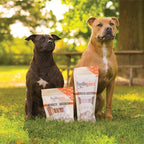 FOODIEPAWS 6 Inch Thin Bully Sticks for Dogs, 25 Pack Bulk | All Natural, Grass-Fed Beef | High Protein, Rawhide-Free & Fully Digestible Dog Chews | Long Lasting Dental Treats for Puppies & Small Dogs